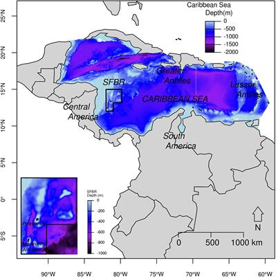 Ecological Niche Modeling of Three Species of Stenella Dolphins in the Caribbean Basin, With Application to the Seaflower Biosphere Reserve